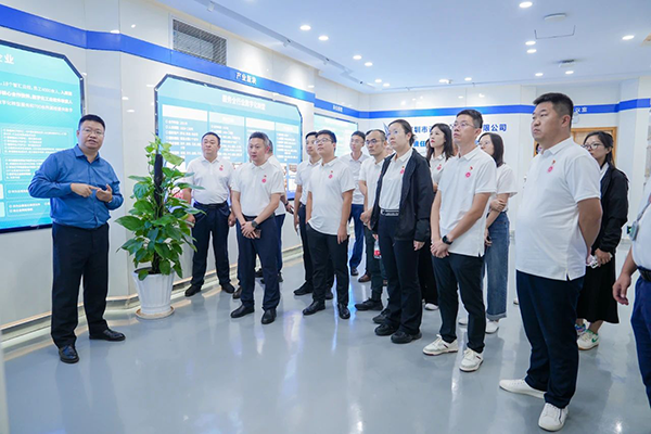 20241106100242_94601 首页- 必发集团有限公司官方网站