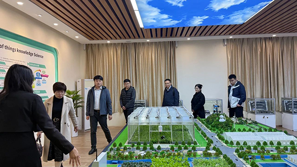 20250310113016_90935 首页- 必发集团有限公司官方网站